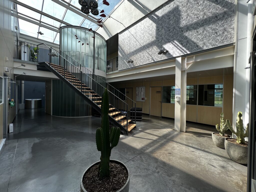 photo du hall des locaux de Heintz transports très lumineux, on y retrouve des l'escalier menant au premier étage et des cactus dispersés dans le hall.