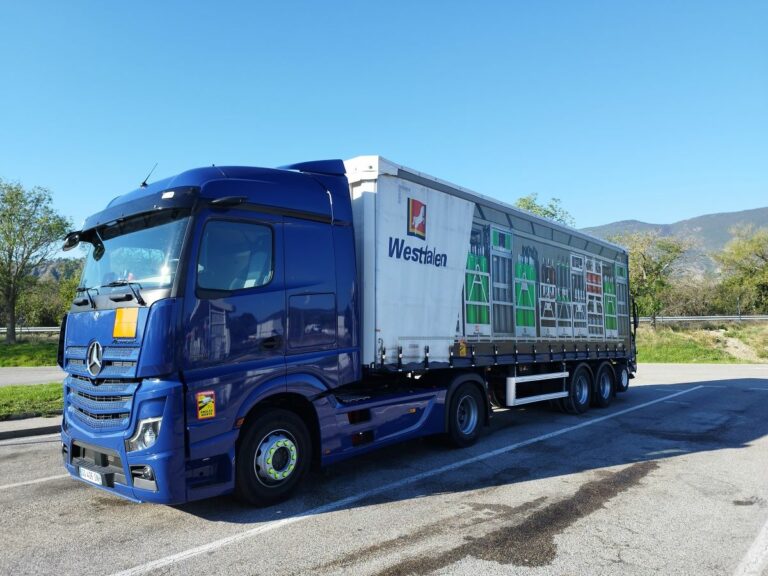 camion aux couleurs de westfalen